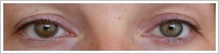 Acuvue 2 Colours - krycí / Oříšková -