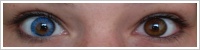 FreshLook ColorBlends / True sapphire -