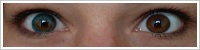 FreshLook ColorBlends / Turquoise -
