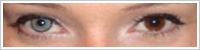 SofLens Natural Colors / Platinum -