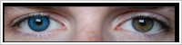 FreshLook ColorBlends / Briliant blue -