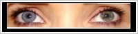 ColourVUE Fusion / Gray/violet -
