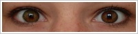 FreshLook ColorBlends / Green -