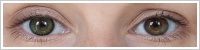 SofLens Natural Colors / Emerald -