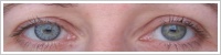 SofLens Natural Colors / Platinum -