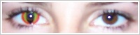 ColourVUE Crazy Lens / Dragon eyes -