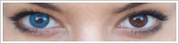 FreshLook ColorBlends / Briliant blue -