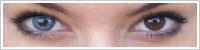 FreshLook ColorBlends / Sterling grey -