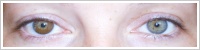 Acuvue 2 Colours - krycí / Kaštanová -
