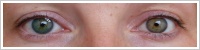 Acuvue 2 Colours - tónovací / Modrozelená -