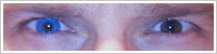 Acuvue 2 Colours - krycí / Modrá -