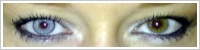 SofLens Natural Colors / Platinum -