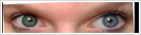 SofLens Natural Colors / Emerald -