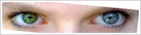 Focus SoftColors / Evergreen -