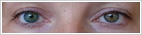 Acuvue 2 Colours - tónovací / Zelená -