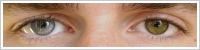 Acuvue 2 Colours - krycí / Šedá -