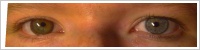 ColourVUE Fusion / Hazel/yellow -