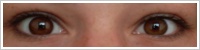 FreshLook ColorBlends / Chestnut brown -