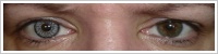 SofLens Natural Colors / Platinum -