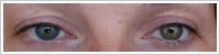 Acuvue 2 Colours - tónovací / Modrá -