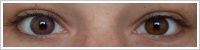 FreshLook ColorBlends / Amethyst -