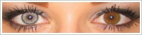 SofLens Natural Colors / Platinum -
