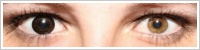ColourVUE Big Eyes / Dolly black -
