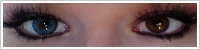 SofLens Natural Colors / Pacific -