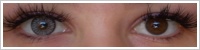 SofLens Natural Colors / Platinum -