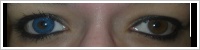 FreshLook ColorBlends / Briliant blue -