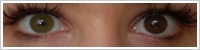 Acuvue 2 Colours - krycí / Zelená -