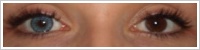 SofLens Natural Colors / Pacific -
