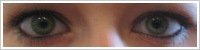 FreshLook ColorBlends / Gemstone green -