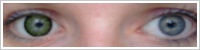 ColourVUE Big Eyes / Party green -