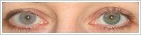 FreshLook Colors / Misty gray -