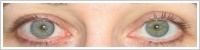 FreshLook ColorBlends / Sterling grey -