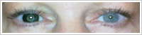 ColourVUE Big Eyes / Dolly black -