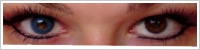 FreshLook ColorBlends / Briliant blue -