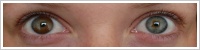 Acuvue 2 Colours - krycí / Kaštanová -