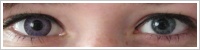ColourVUE Glamour / Violet -