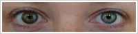 Acuvue 2 Colours - krycí / Oříšková -