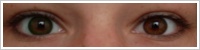 FreshLook Dimensions / Sea green -