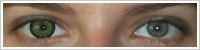 Acuvue 2 Colours - krycí / Zelená -