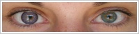 ColourVUE Glamour / Violet -