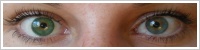 FreshLook Dimensions / Sea green -