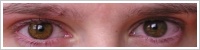 Acuvue 2 Colours - krycí / Medová -