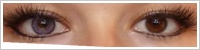 SofLens Natural Colors / Indigo -