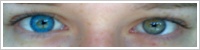 FreshLook ColorBlends / Briliant blue -