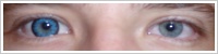 ColourVUE Big Eyes / Cool blue -