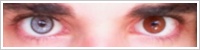 SofLens Natural Colors / Platinum -